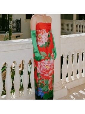 NWT Zara Floral Maxi Gown